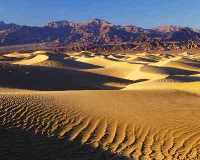 UP054 Stovepipe Well Dunes